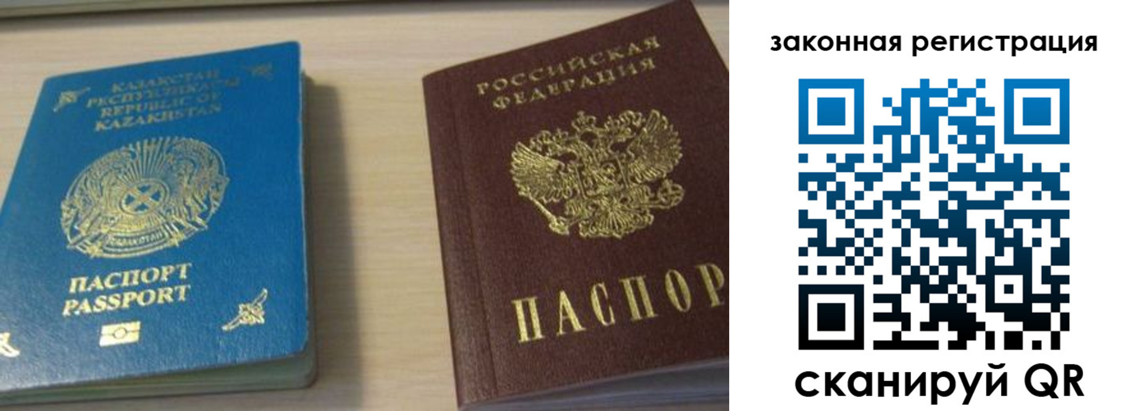 временная регистрация надежно в Димитровграде